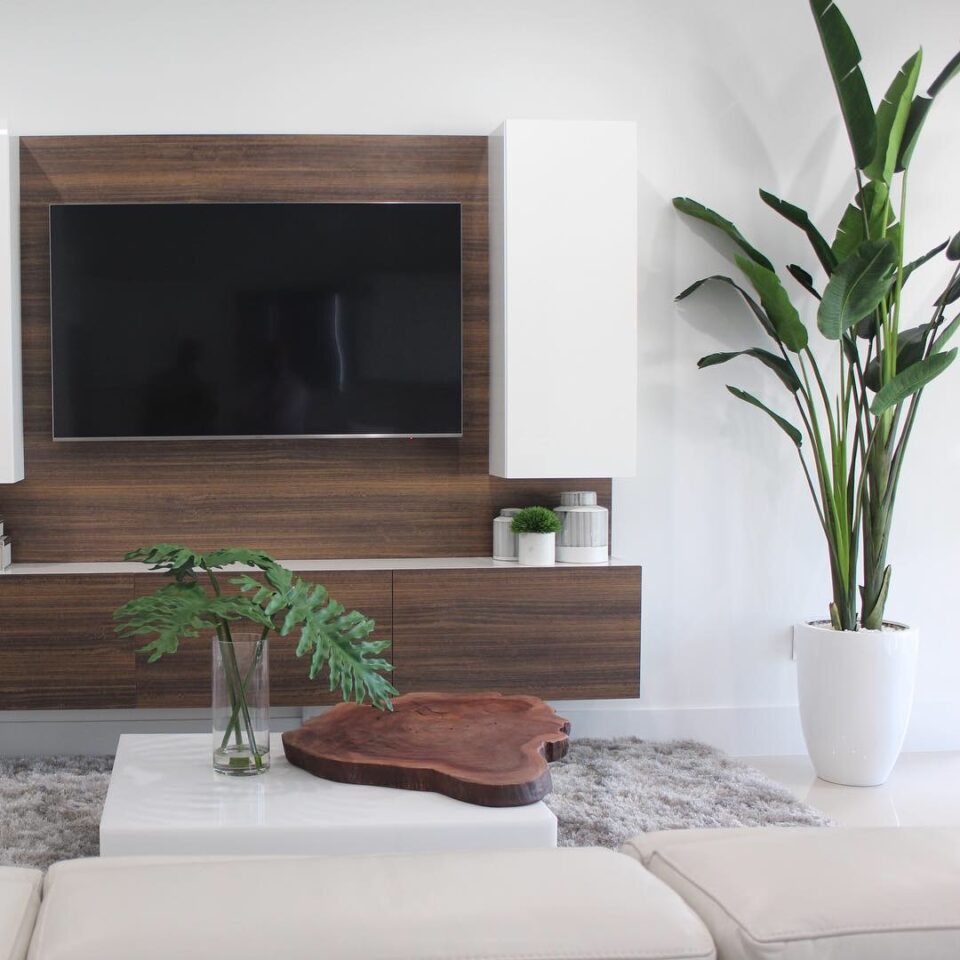 Paradiesvogelpflanze (2,7 m) mit Ben Pflanzgefäß in Hochglanz-Weiß