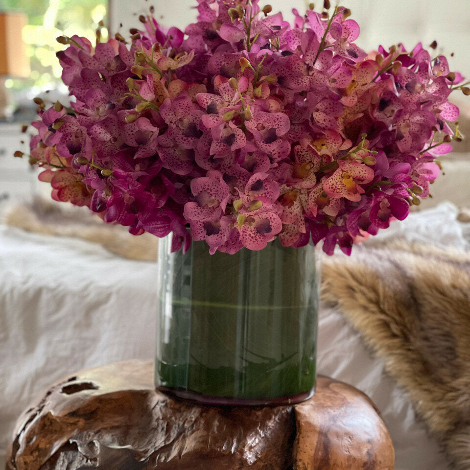 Gemischte Mokara-Orchideen im großen Rota-Zylinder