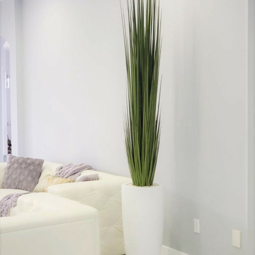 Dax Vase (Größe L) mit Schilfgras
