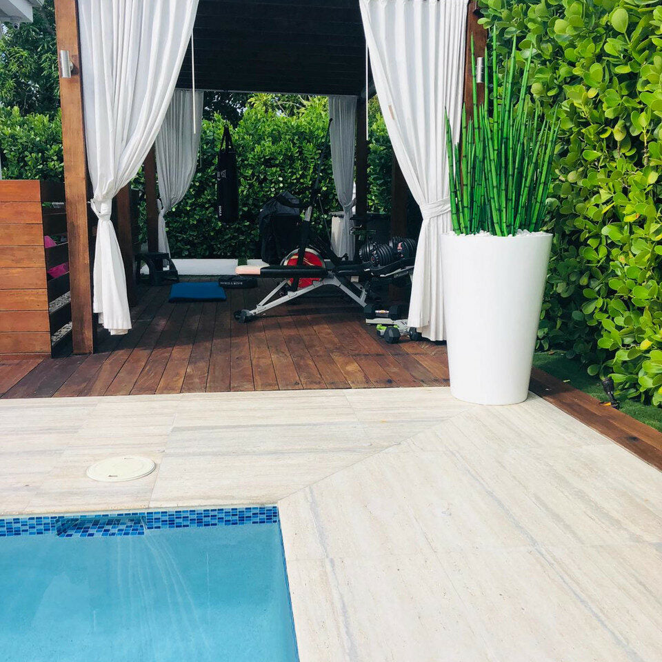 Schlangen-Gras (1,63 m) mit Belle L Pflanzgefäß