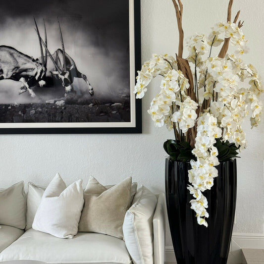 San Jose Vase in glänzendem Schwarz mit hängenden gelben Orchideen