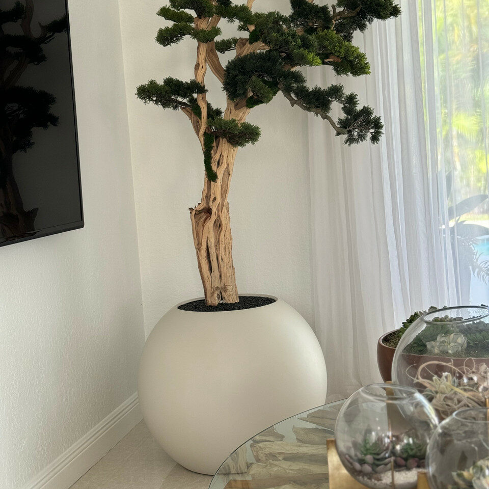 Bonsai-Baum in globusförmigem Pflanzgefäß – 180 cm, Satin-Beige